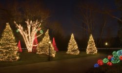 LED Christmas Lights: An Incandescent vs LED Grudge Match