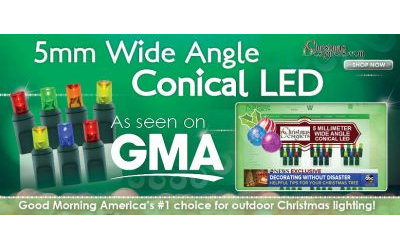 Voted Best Outdoor Christmas Lights From GMA and The SweetHome