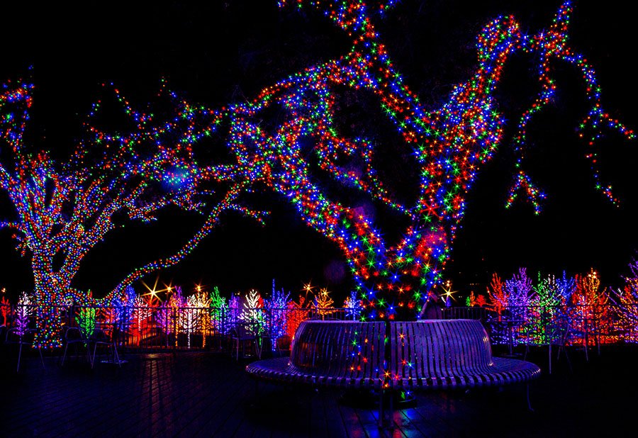 Use Color Strategically in Your Commercial Christmas Light Displays