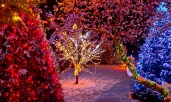 The Top 6 Mistakes People Make When Buying LED Christmas Lights