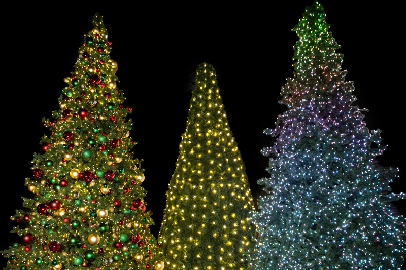 How to Choose from Types of Commercial Christmas Trees for Your Business or Organization