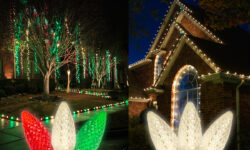 Colored vs. White Christmas Lights: How to Choose the Best Look for Your Home
