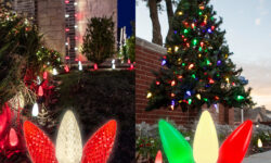 Faceted vs. Smooth Christmas Lights: How to Choose the Perfect Look